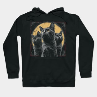 Cute Ninja Cats Hoodie